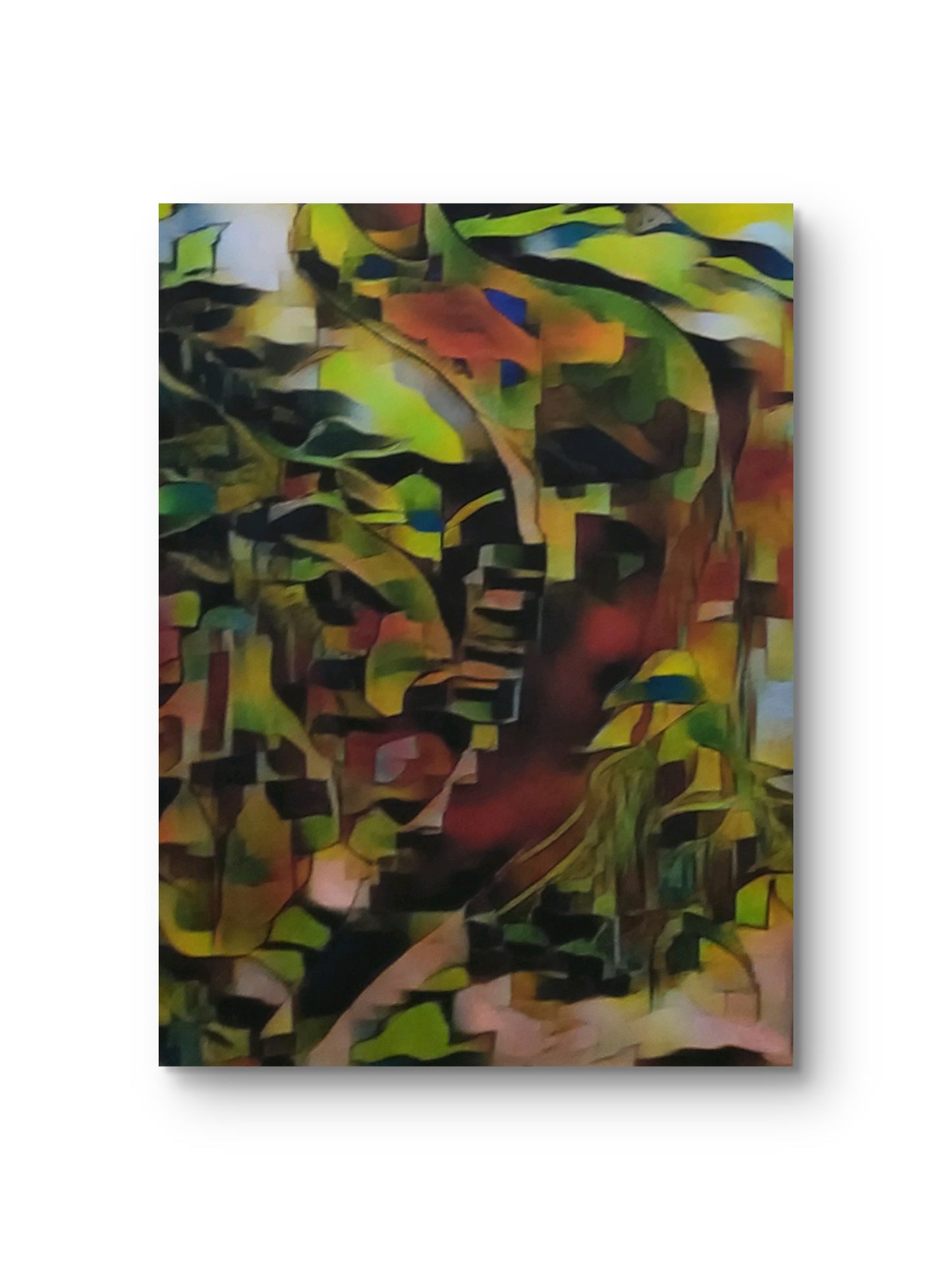 Vibrant Canvas Art, Brighten Your Home,Office Or Gift A Friend